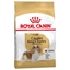 Picture of Royal Canin Cavalier King Charles